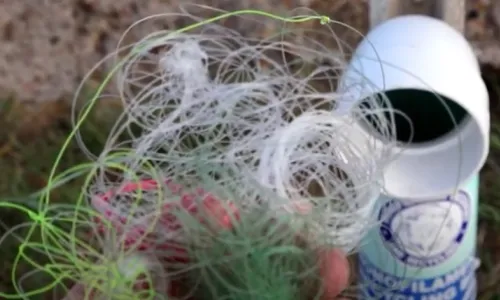 What is Entanglement