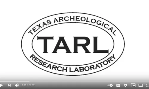 Interview with TARL Associate Director