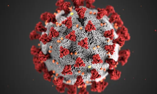 Resources for teaching public health to pre-college students