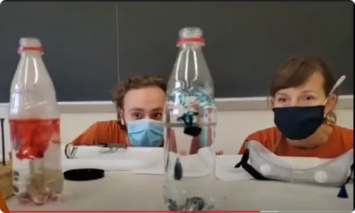 Using Temperature to Fuel a Food Coloring Race
